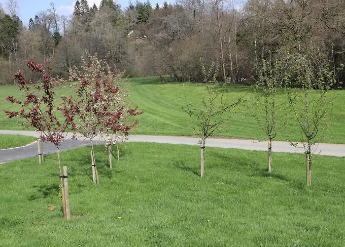 Heddfan, Luxury 3 Bedroom Timber Lodge, Now With Wifi, Caer Beris Holiday Park, Builth Wells, Sorry No Tradesmen Or Contractors Allowed