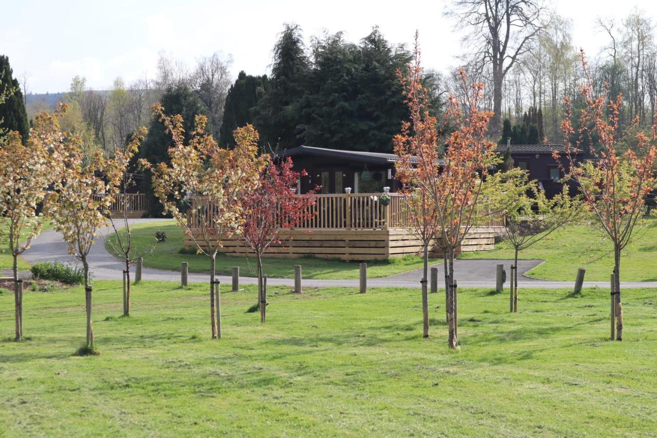 Heddfan, Luxury 3 Bedroom Timber Lodge, Now With Wifi, Caer Beris Park, Builth Wells, Sorry No Tradesmen Or Contractors Allowed Builth Wells